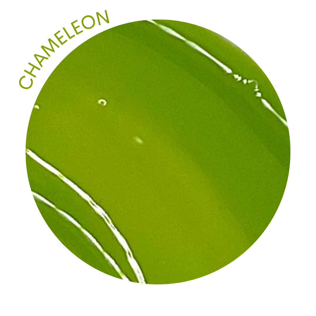 Chameleon - 15ml