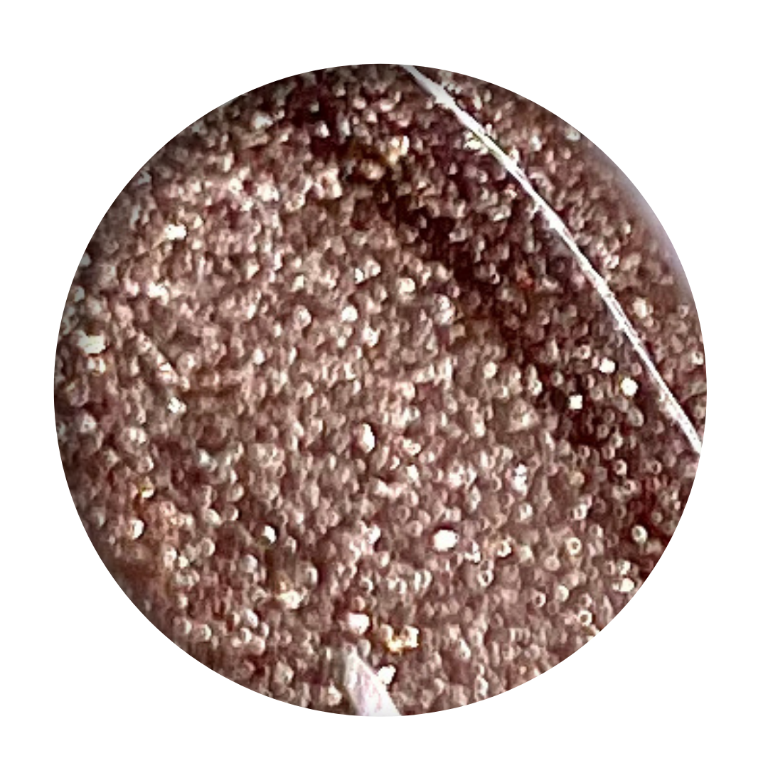Hollywood - 15ml
