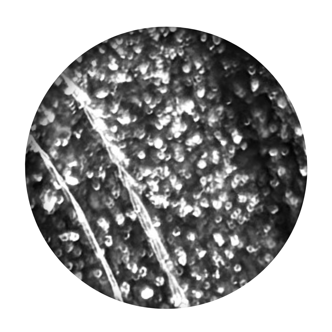 Onyx - 15ml